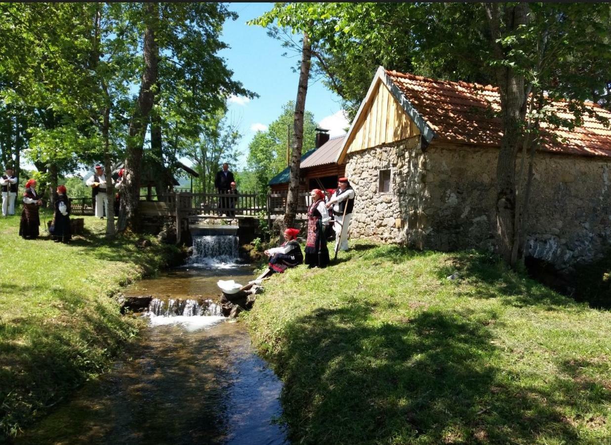 Kuca Za Odmor Dikka Brusane Lika ภายนอก รูปภาพ